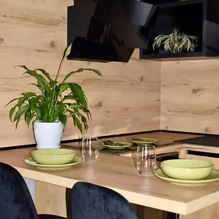 Apartment Olive House