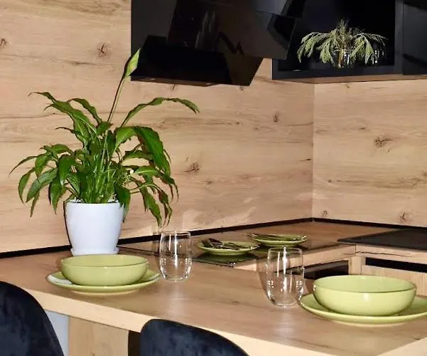 Apartment Olive House